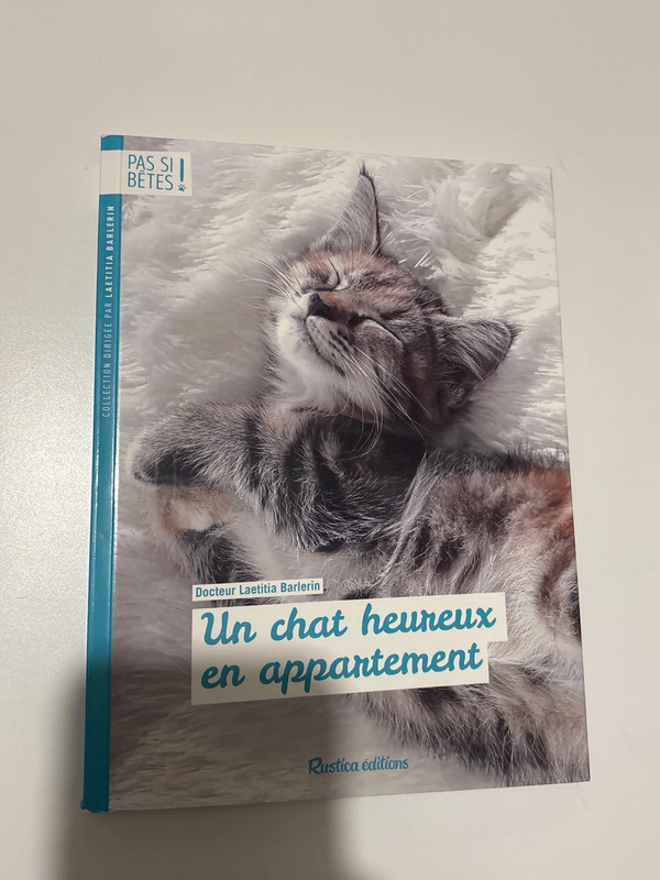 Un chat heureux en appartement