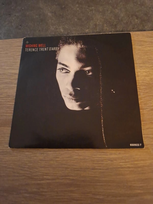 7'vinyl singel van Terence trent d'arby