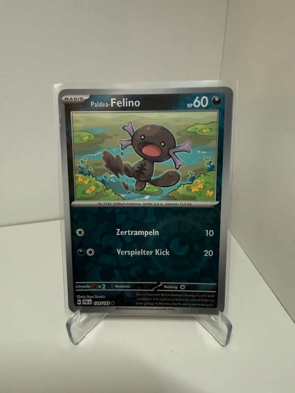 Felino