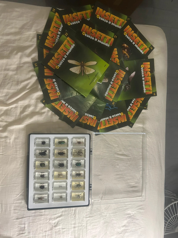 Collezione Insetti da tutto il mondo RBA - 18 Insetti in Resina + Fascicoli