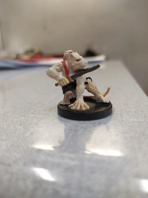 Dungeons & dragon miniatures game