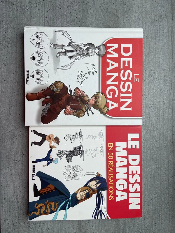 «  Le dessin Manga »