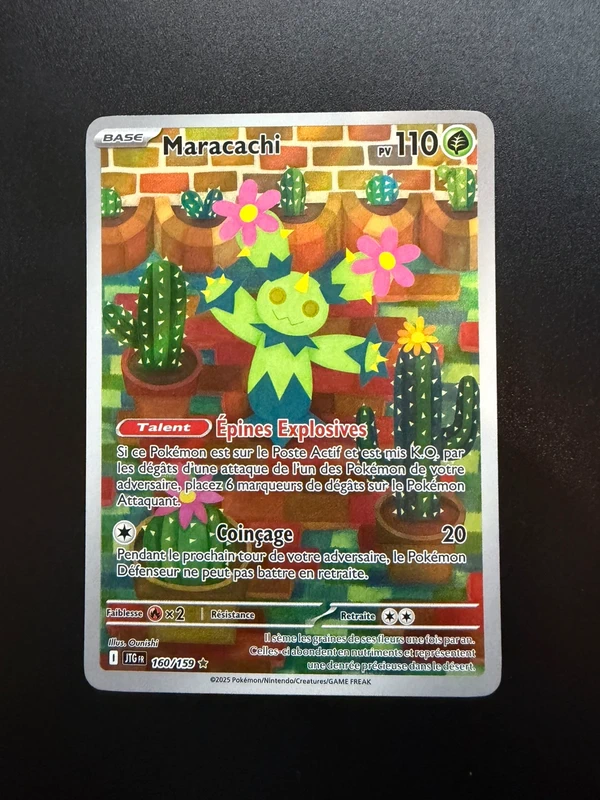 Maracachi 160/159