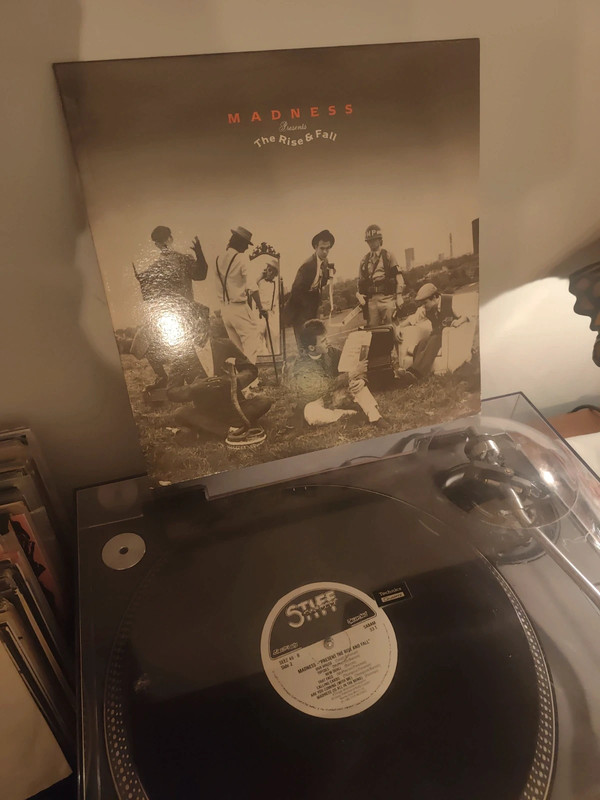 Madness - present the rise and fall