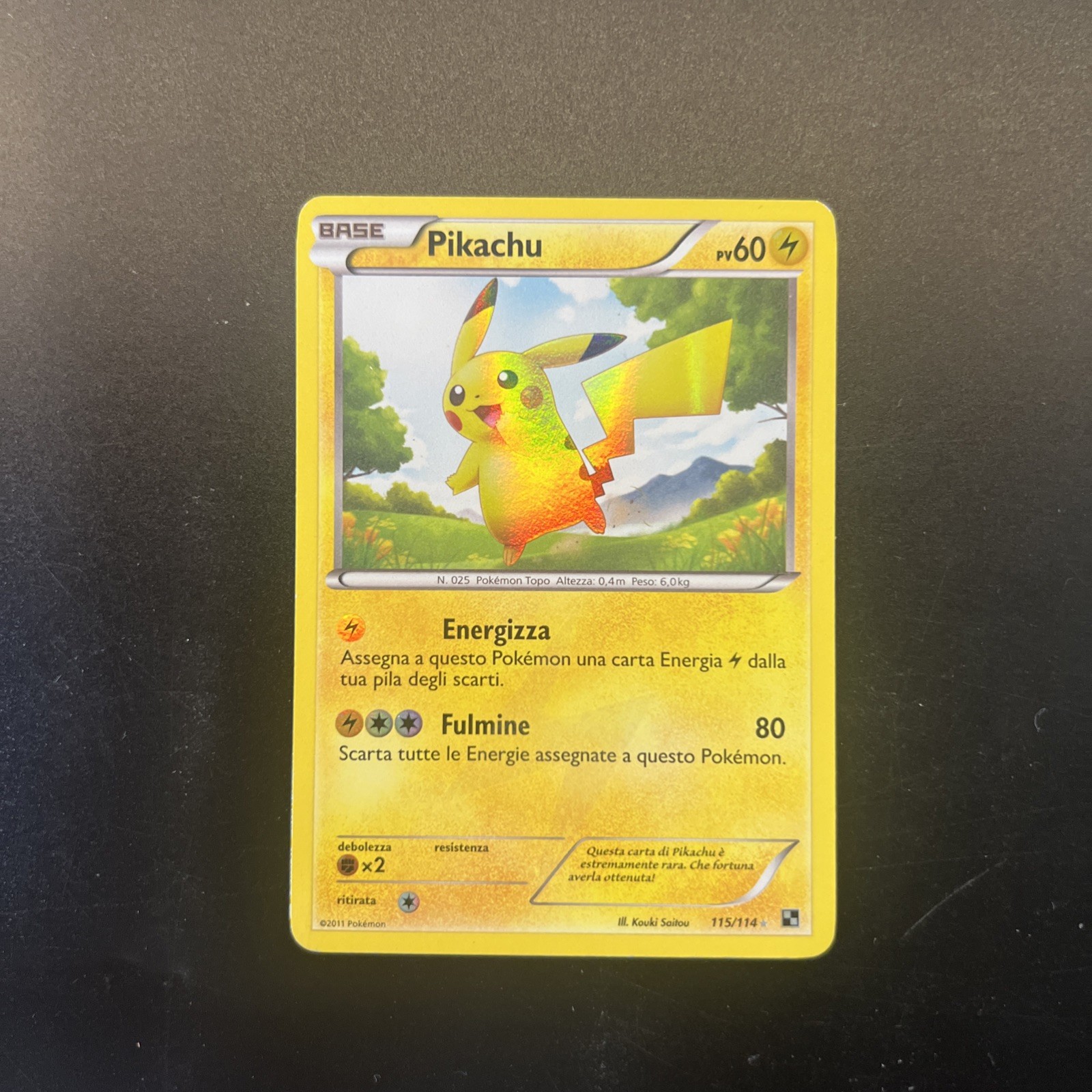 carat pokemon pikachu 