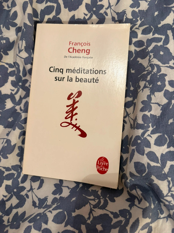 Cinq méditations sur la beauté