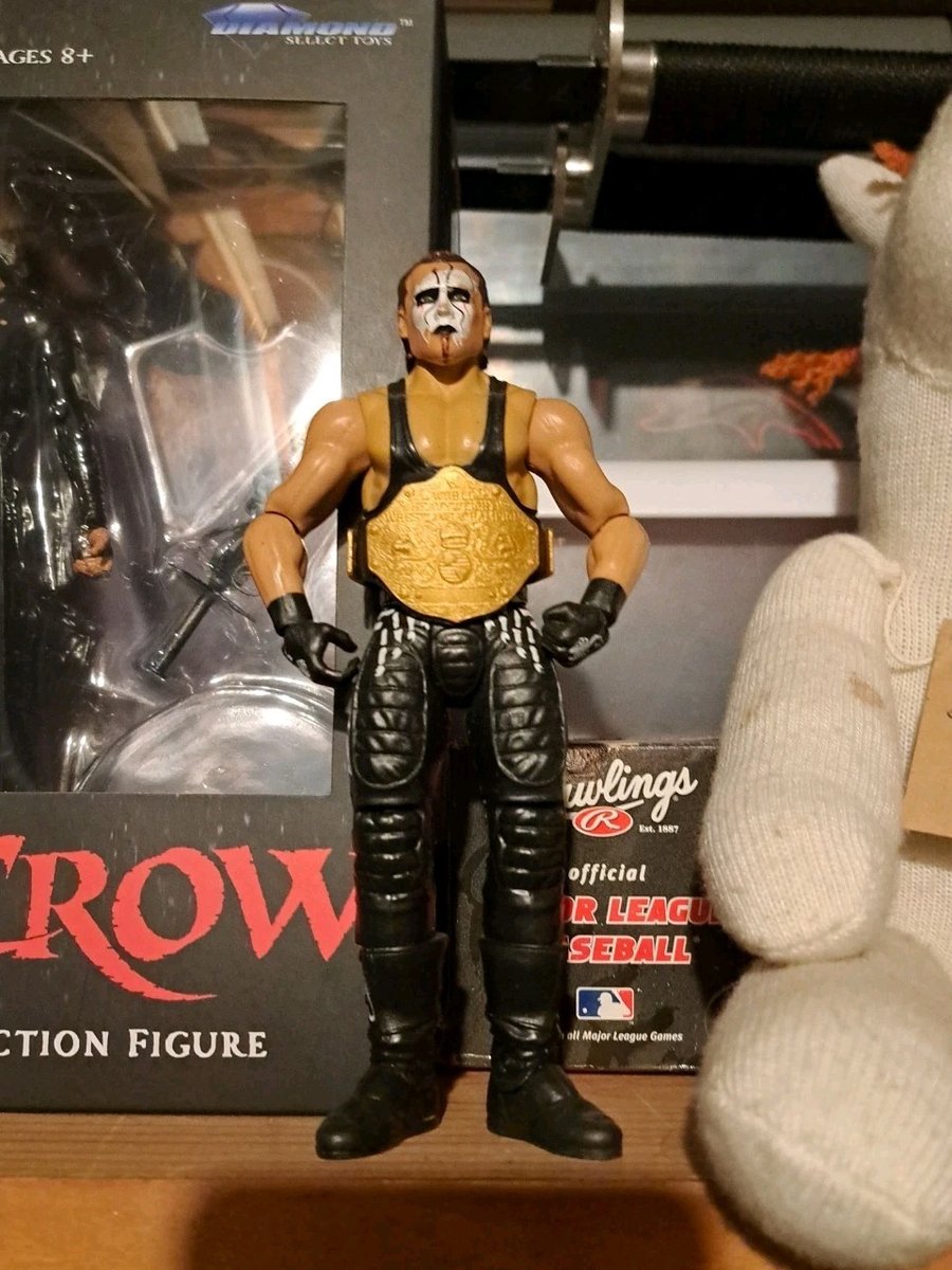 PUNGITURA PERSONALIZZATA 🦂 ELITE AEW WWE FIGURE CROW TNA action figure