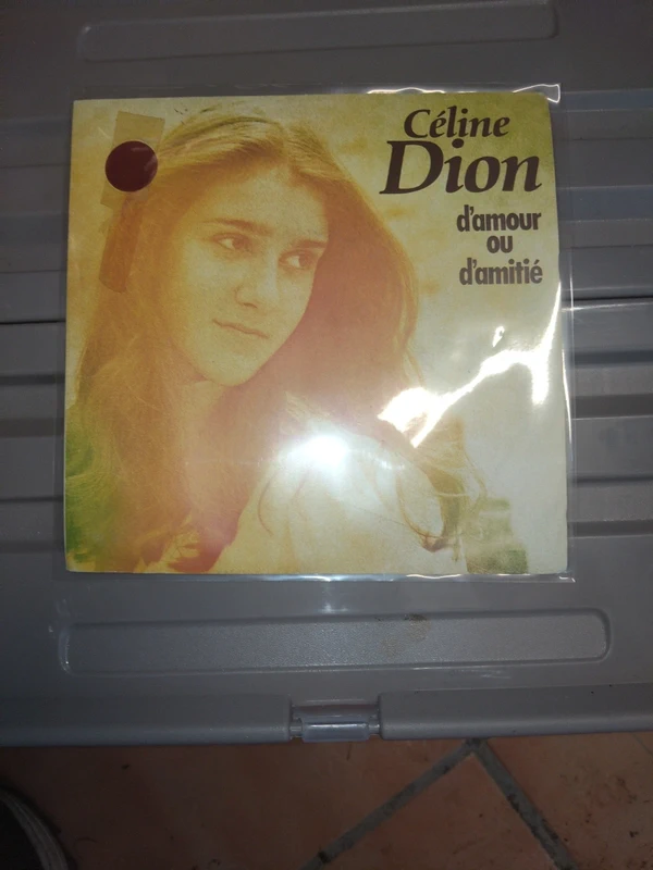 Vinyl celine Dion