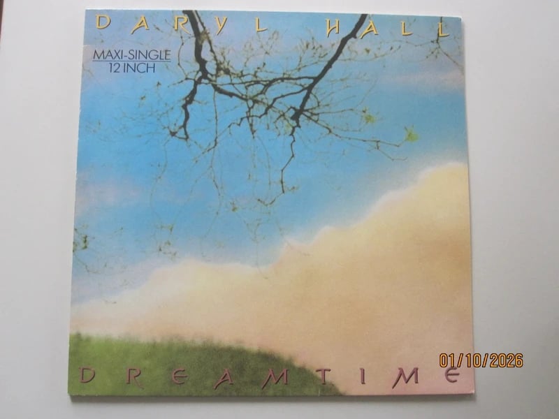 Daryl Hall - dreamtime - 12 inch maxi-singel - 45 rpm