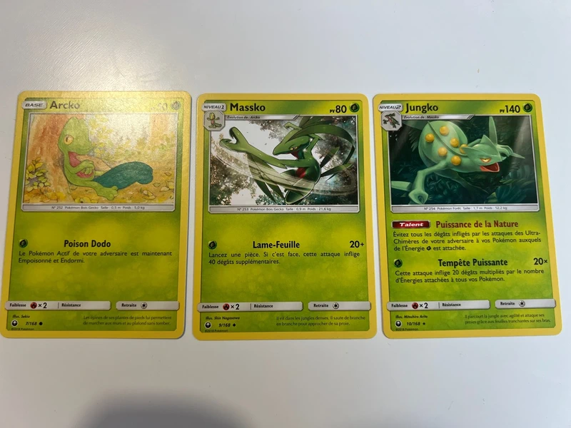Lot cartes Arcko Massko Jungko