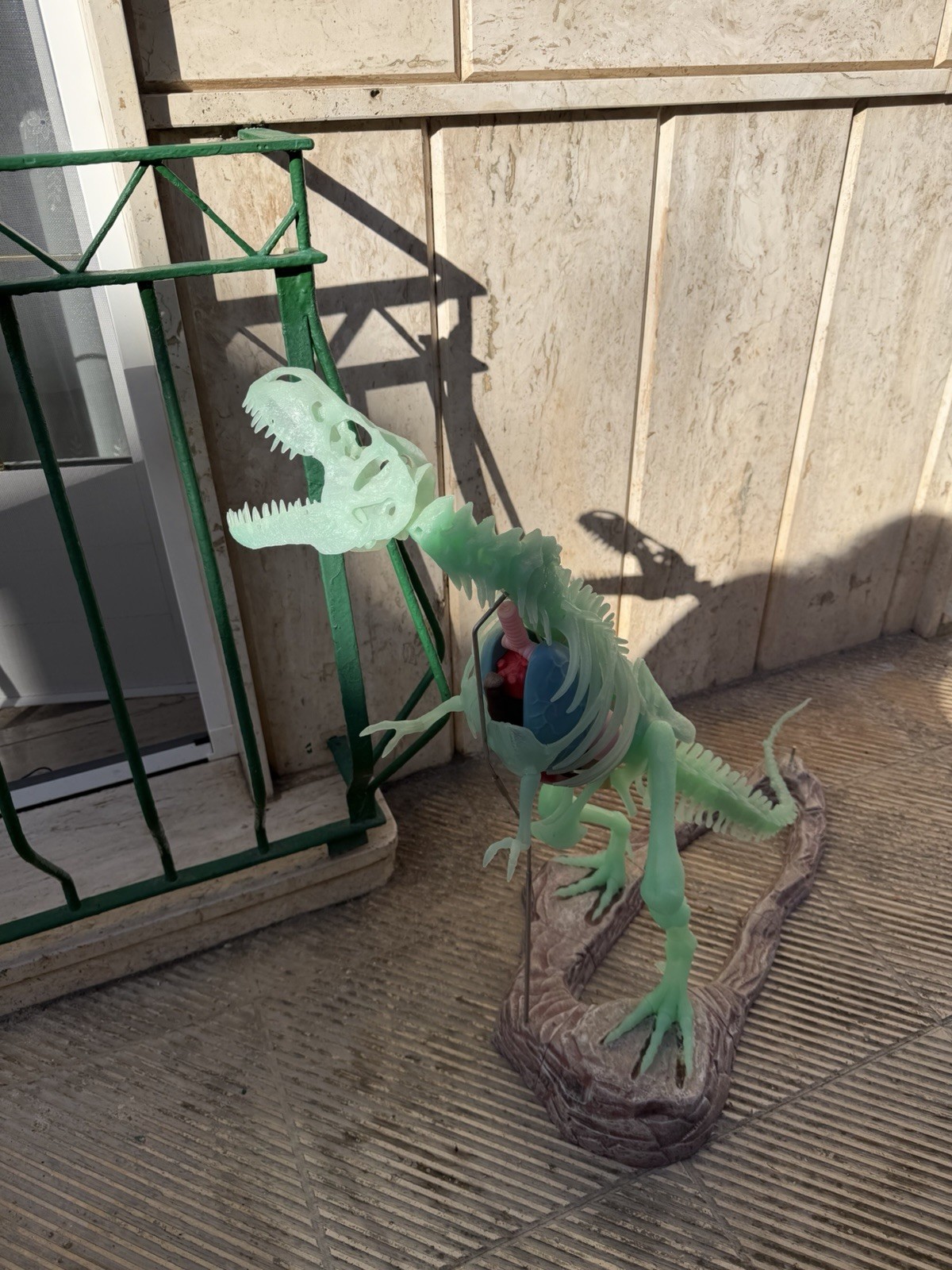 Action figure dinosauro scheletro T-Rex verde 40 cm con base, senza confezione