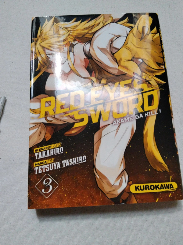 Red eyes sword tome 4