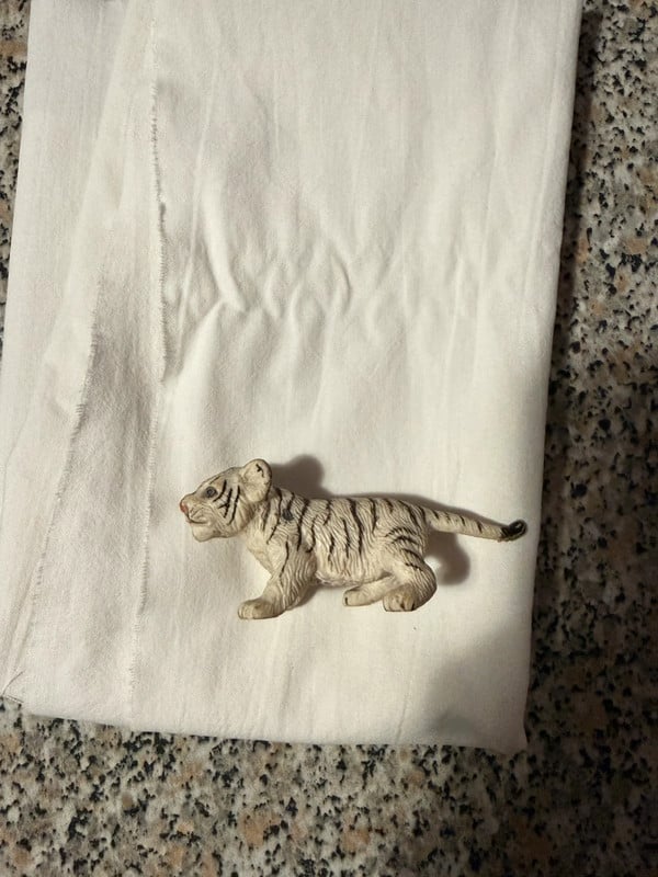 Tigre parco le cornelle gadget