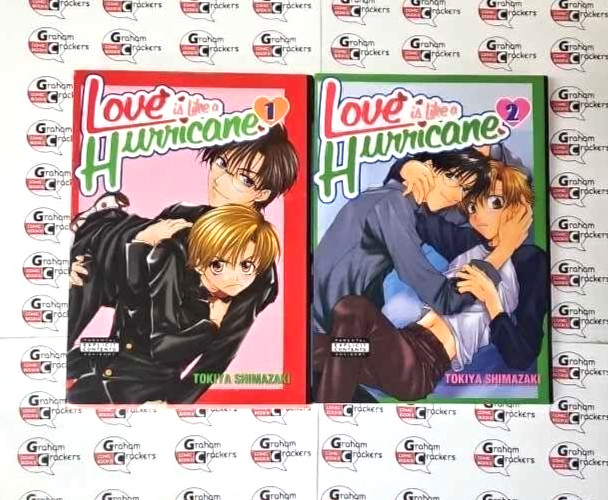 L'AMORE È COME UN URAGANO Vol. Set manga 1 e 2 * 801 media * SCARSO! *combinare s&h!!