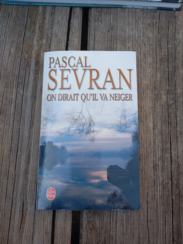 On dirait qu'il va neiger