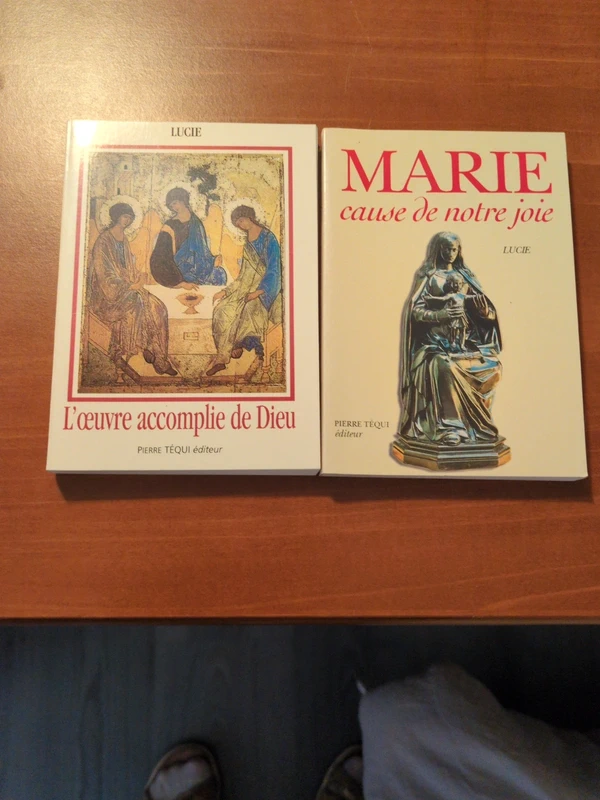 Idée cadeau    2 pts livres   facile à lire