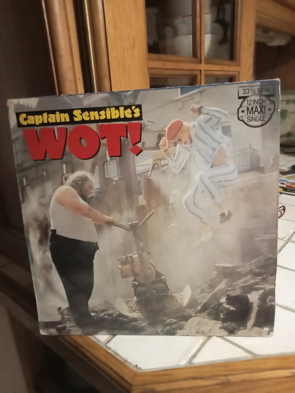 Maxi 45 Tours vinyle de Captain sensible's : wot