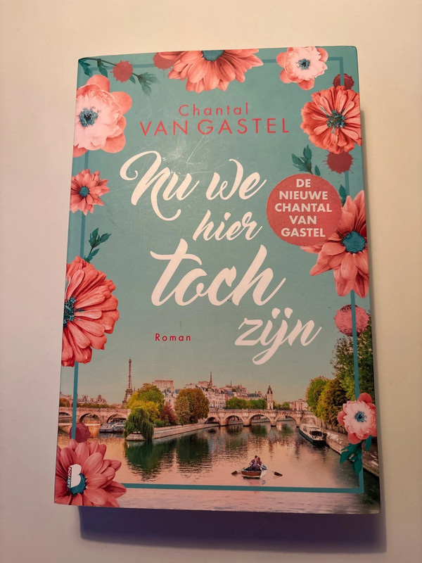 Nu we toch hier zijn - Chantal van Gastel - Roman