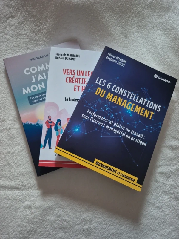 📖 Lot 3 livres - management, Vers un leadership créatif, Comment j'ai viré mon patron