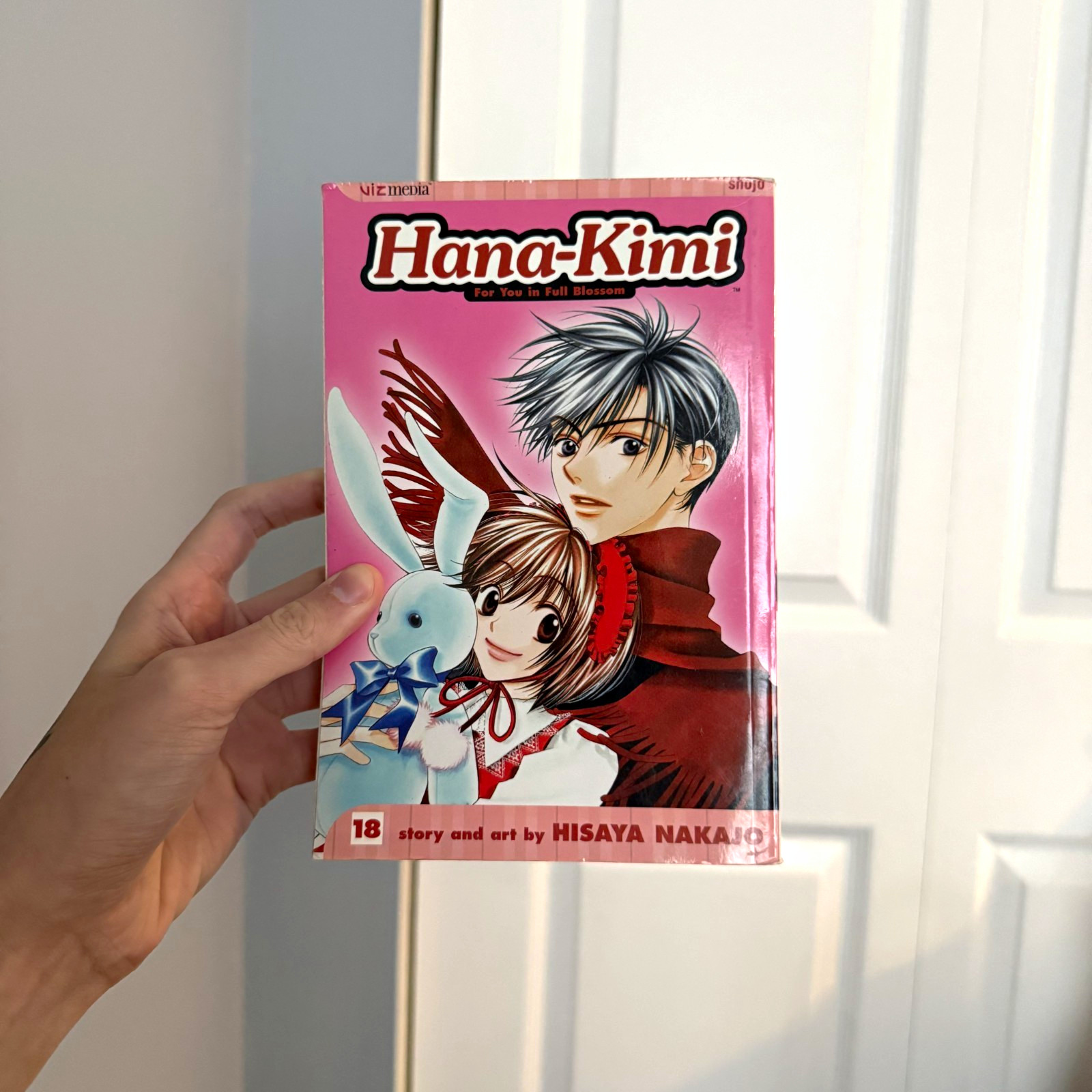 Hana-Kimi Vol. 18 Trade Paperback Manga (inglese) VIZ Media di Hisaya Nakajo