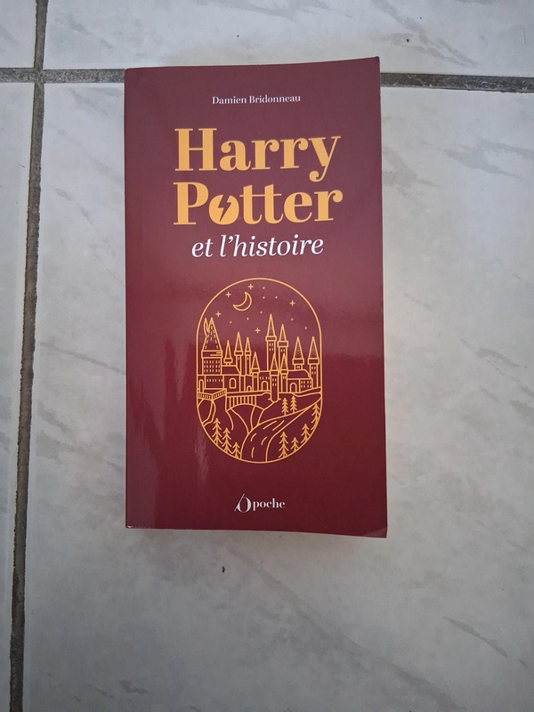 Harry potter et l histoire