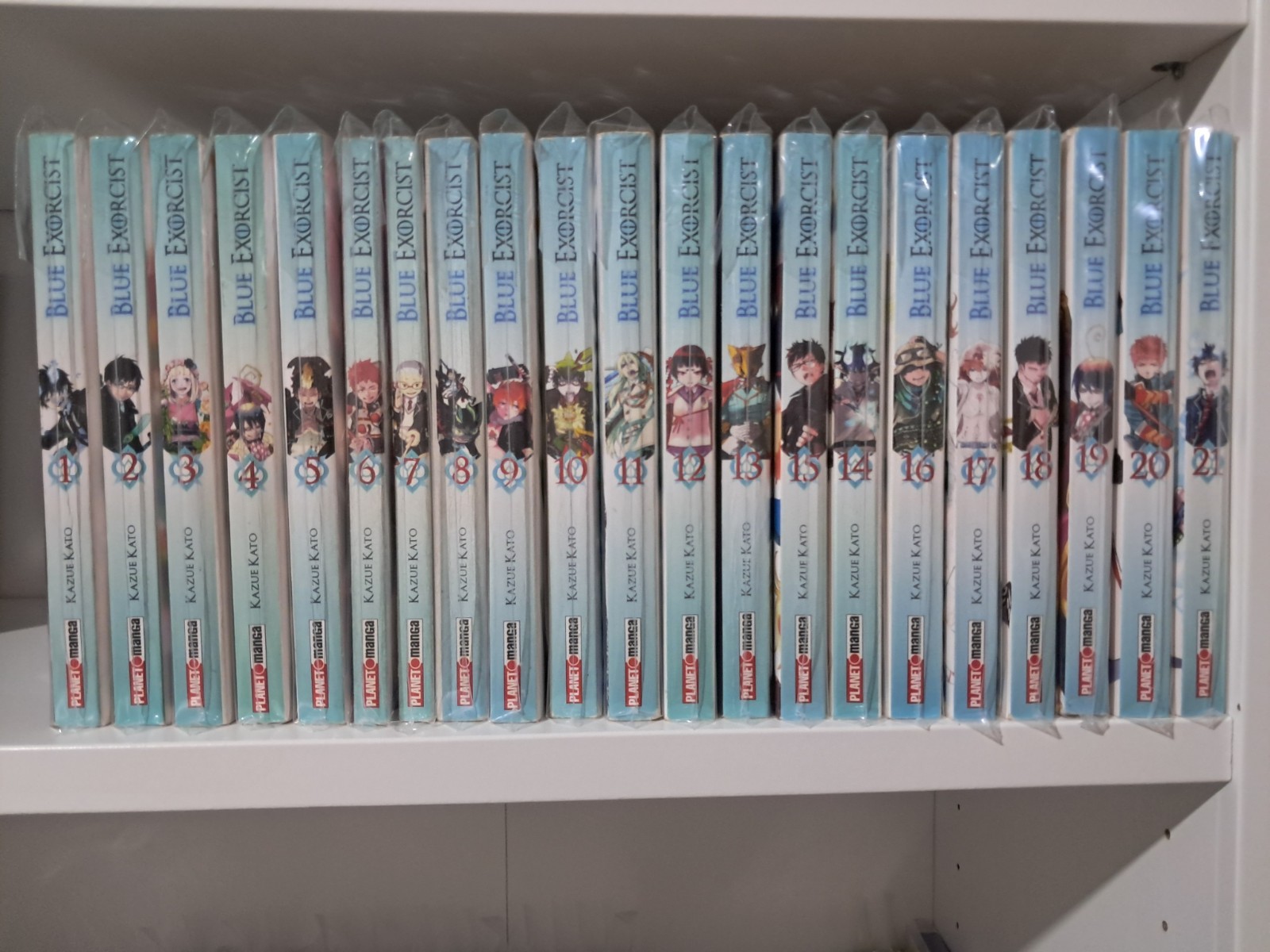 Blue Exorcist dal N. 1 al 21.