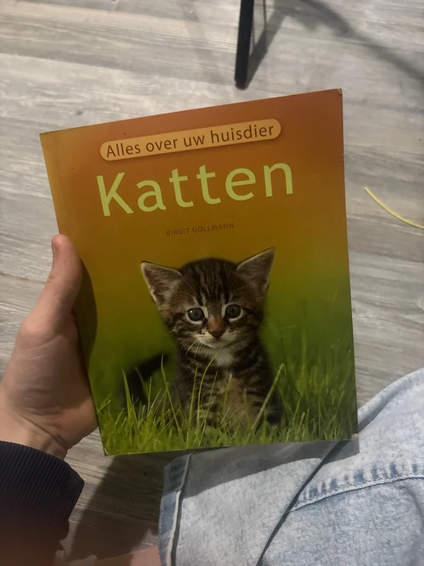 Katten