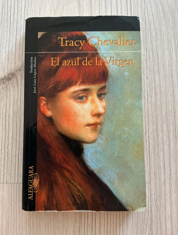 El azul de la virgen – Tracy Chevalier | Libro en Español