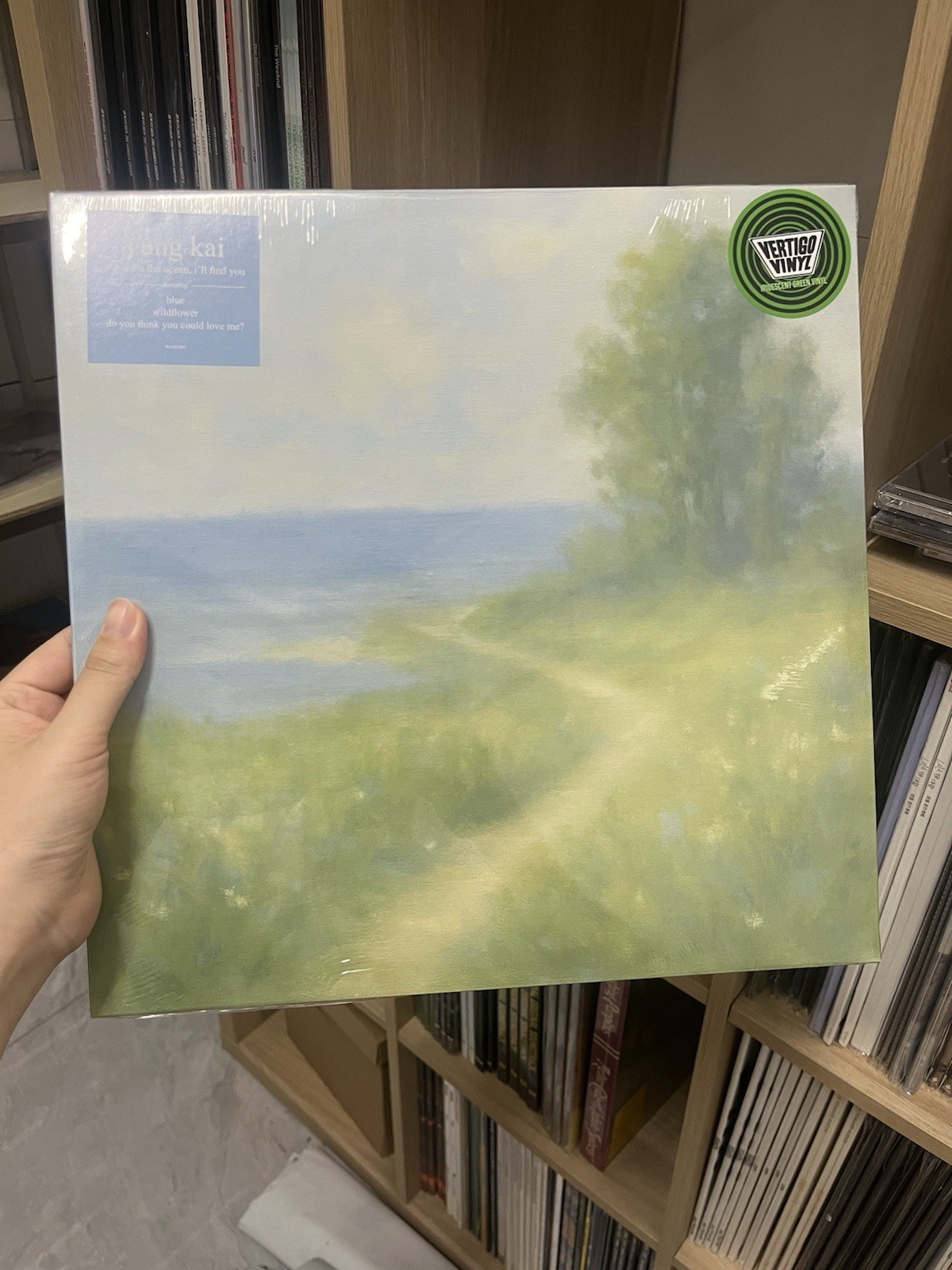 Yung Kai Stay With The Ocean I'll Find You Iridescent Watercolor Green Vinyl LP