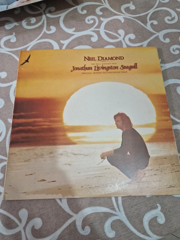 Vinile