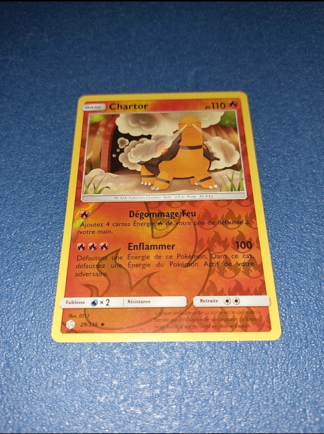 Carta Pokémon Chartor 29 236 Reverse