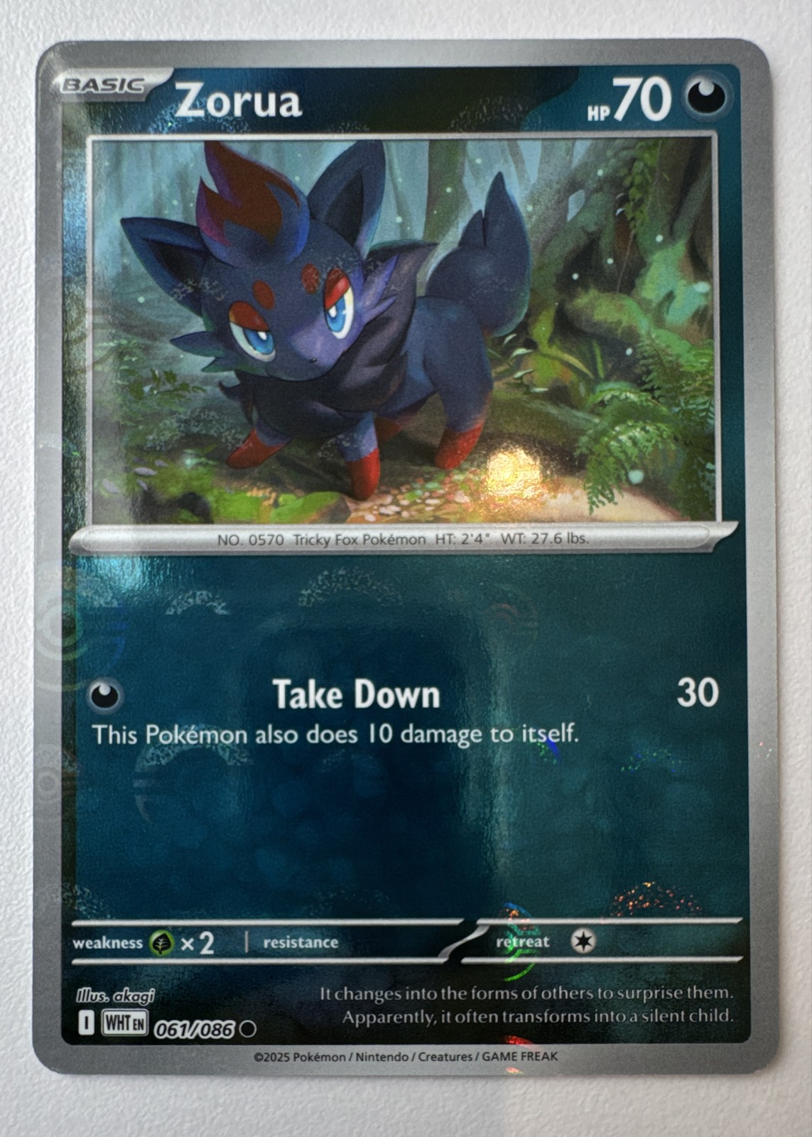 Pokemon TCG Zorua 061/086 White Flare Poke Ball Holo quasi nuovo