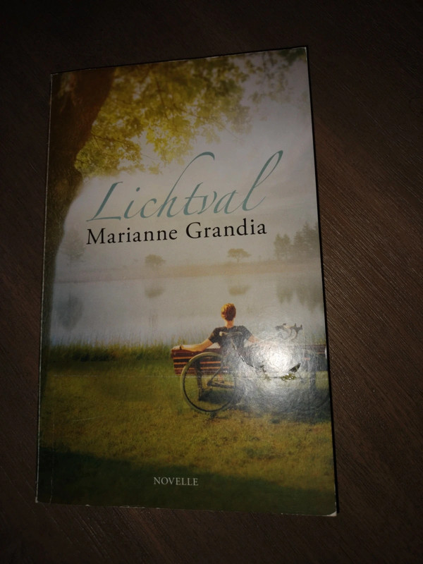 Boek lichtinval Marianne Grandia