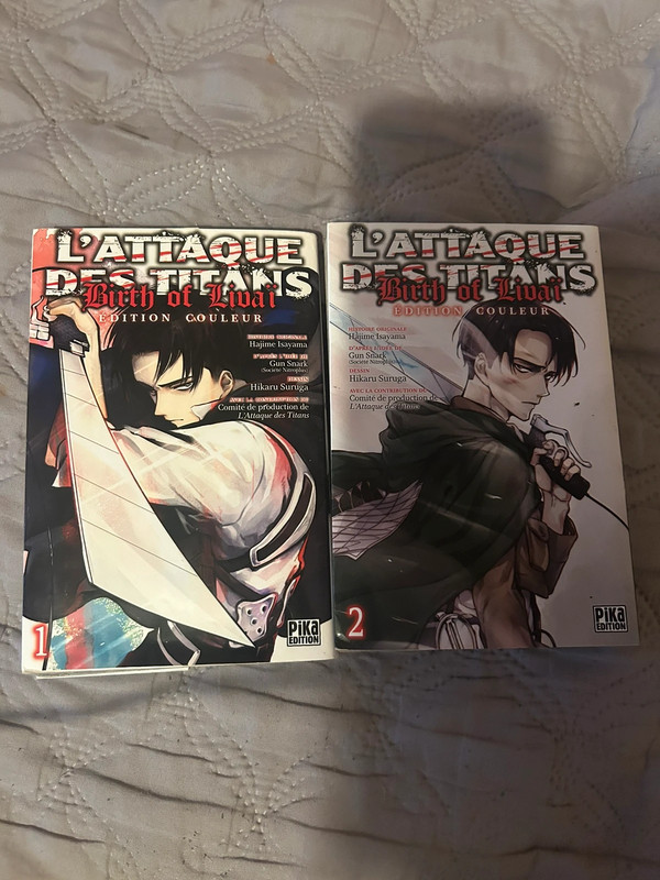 Manga spécial livaï