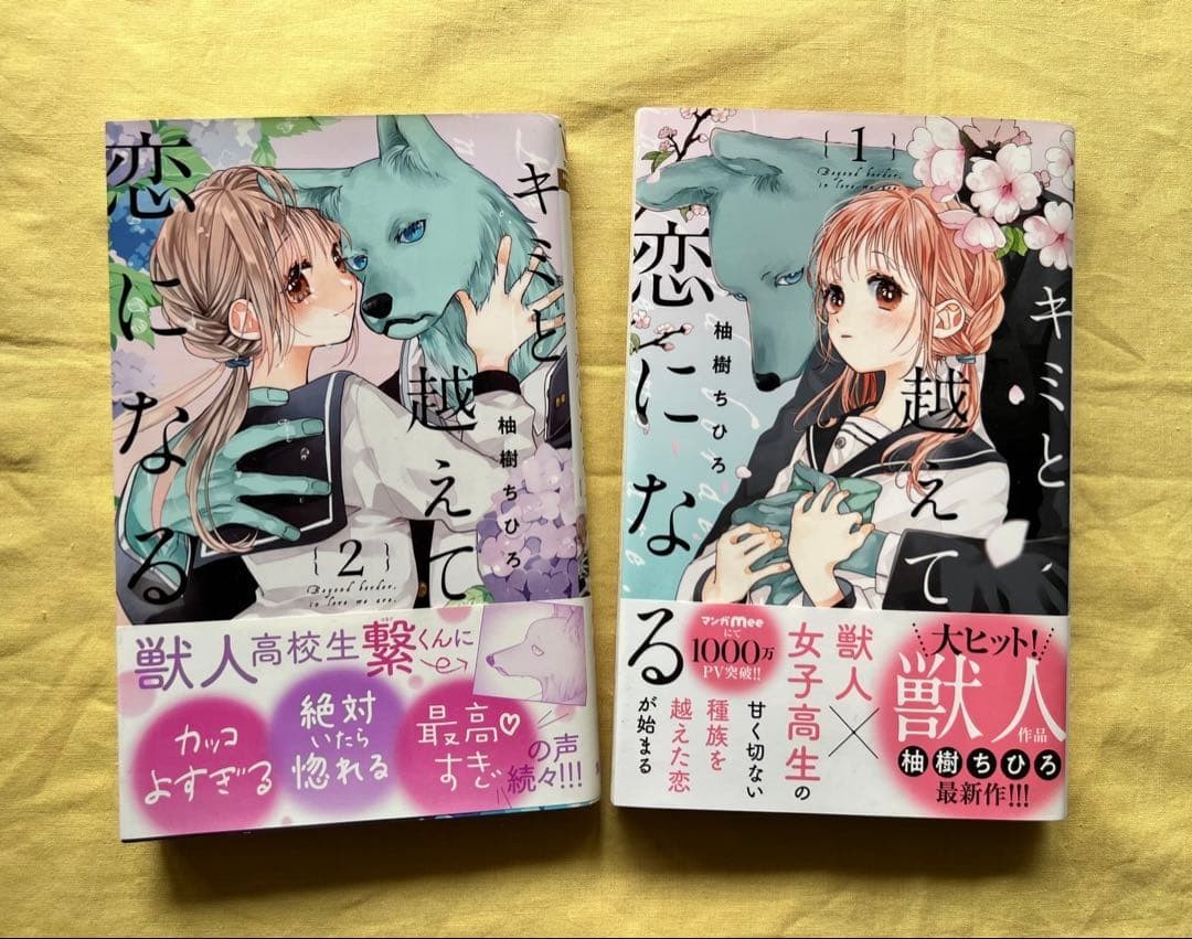 Kimi to Koete Koi ni Naru Vol 1-2 Prima Edizione con Manga Giapponese Obi