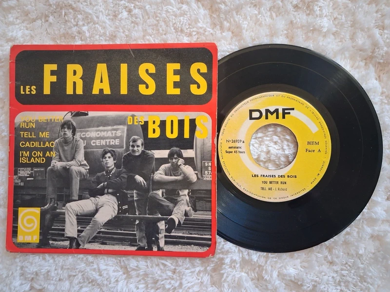 Disque 45t les fraises des bois