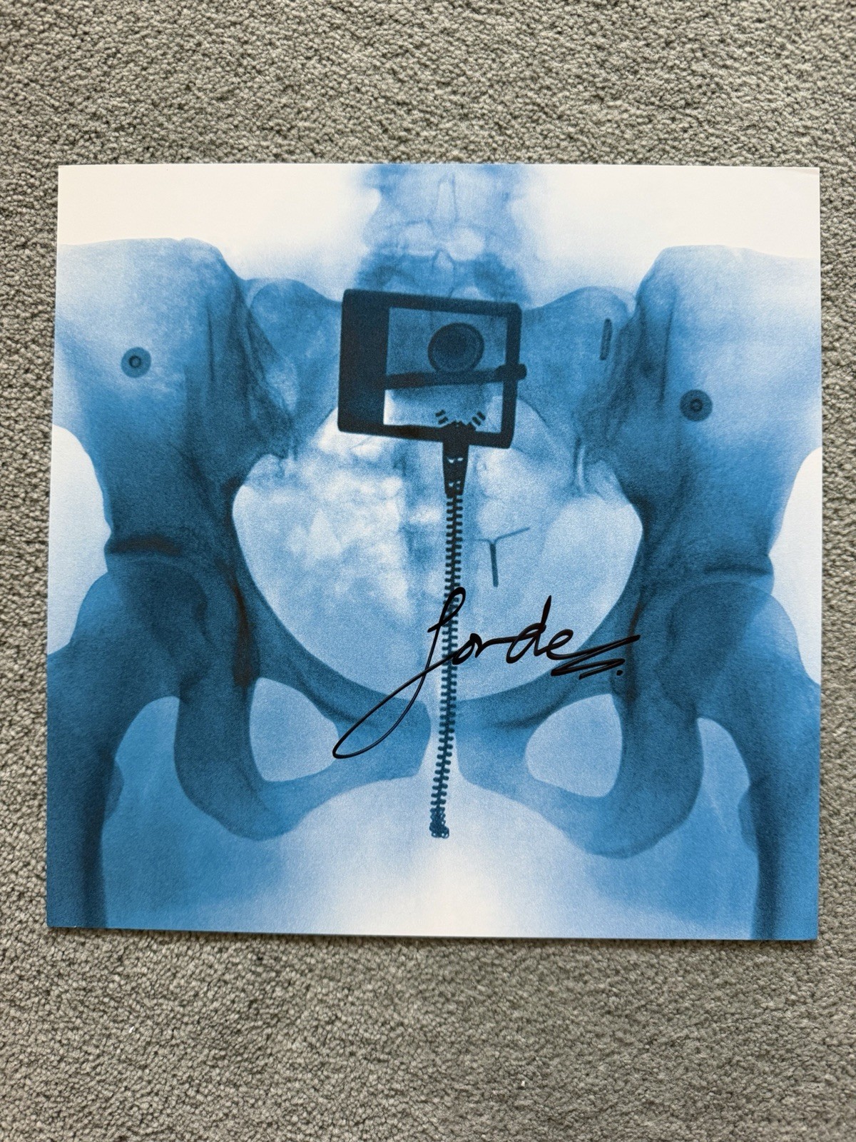 Lorde Virgin Signed 12” Art Card New Official Autograph