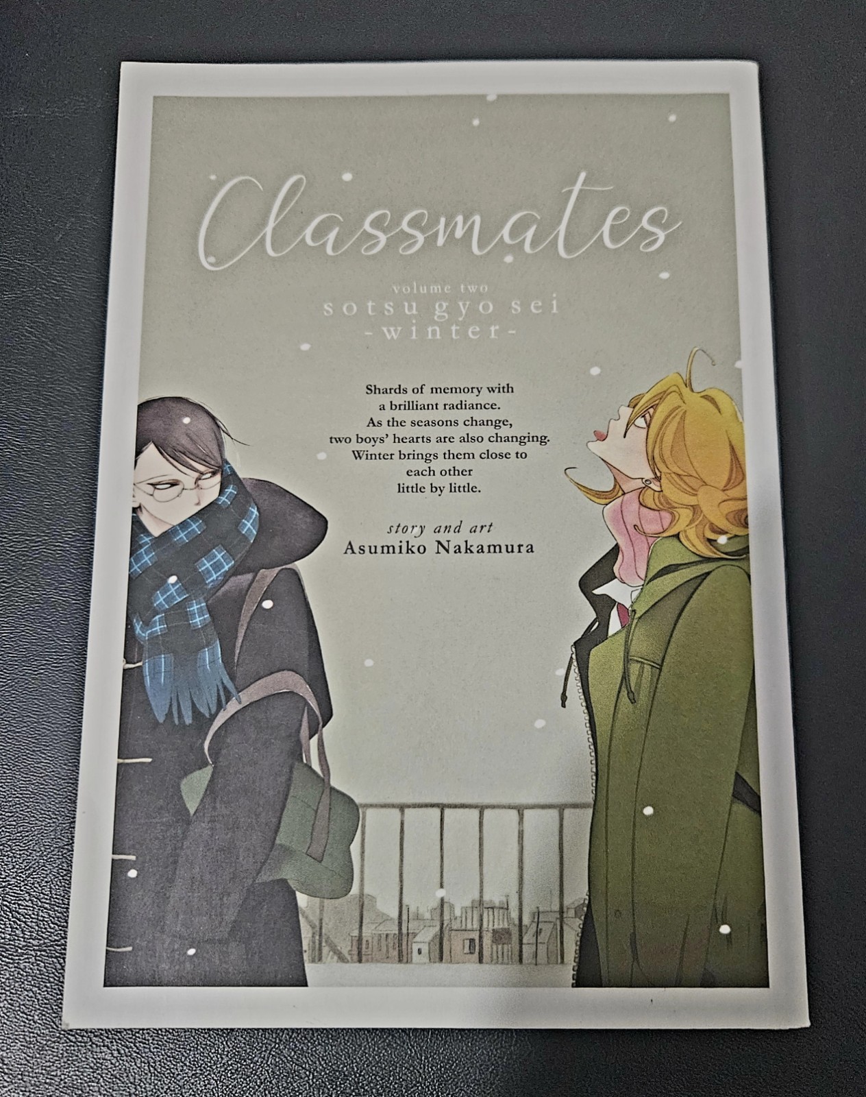 Compagni di classe, vol. 2, di Asumiko Nakamura, BL manga inglese 2019