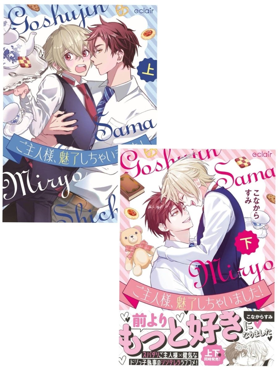 Goshujin sama Miryo Shichaimashita Vol.2 di Konakara Sumi Yaoi BL Manga Nuovo