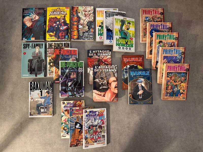 Lot découverte Mangas