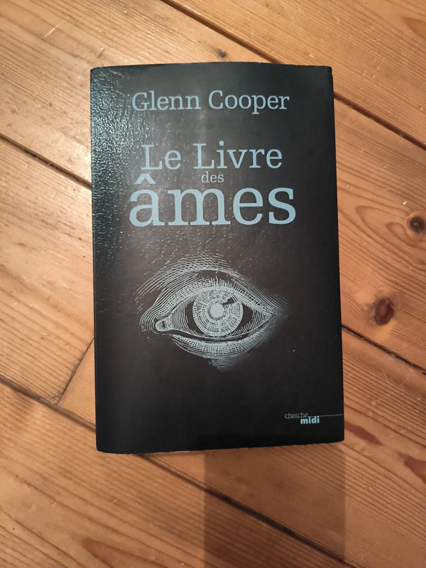 Le livre des âmes