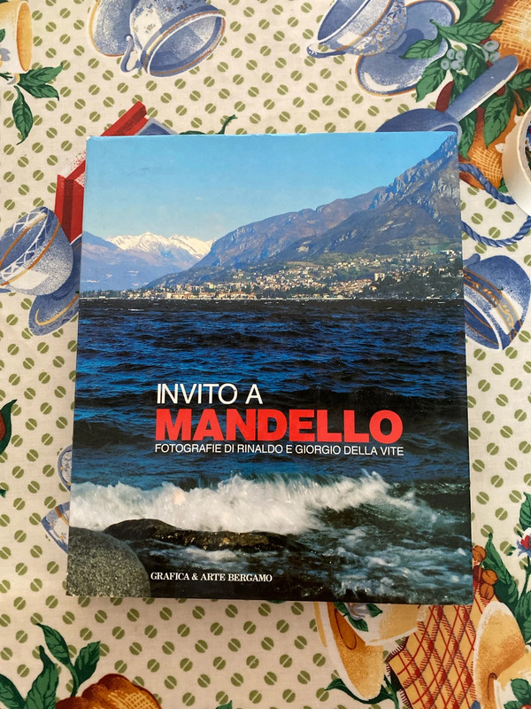 Invito a mandarlo fotografie di Rinaldo e Giorgio della vite