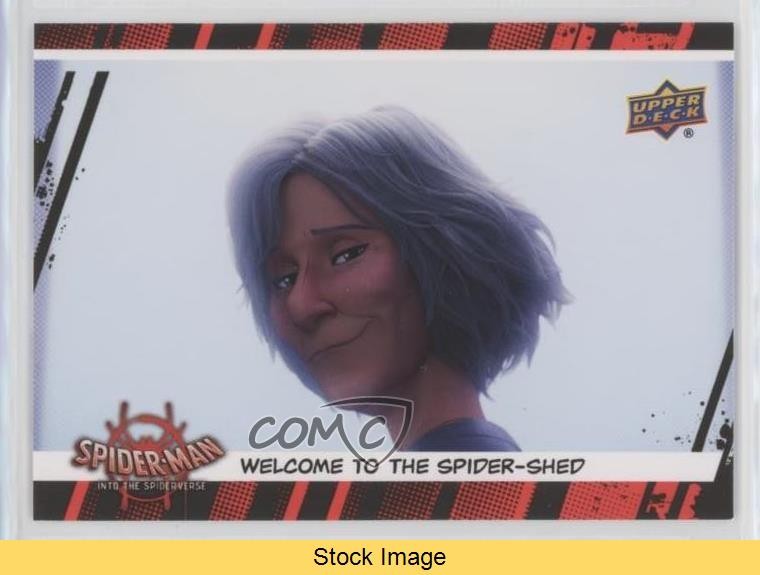 2022 Marvel Spider-Man: Into the Spider-Verse Ultimate Black Aunt May READ 1ar2