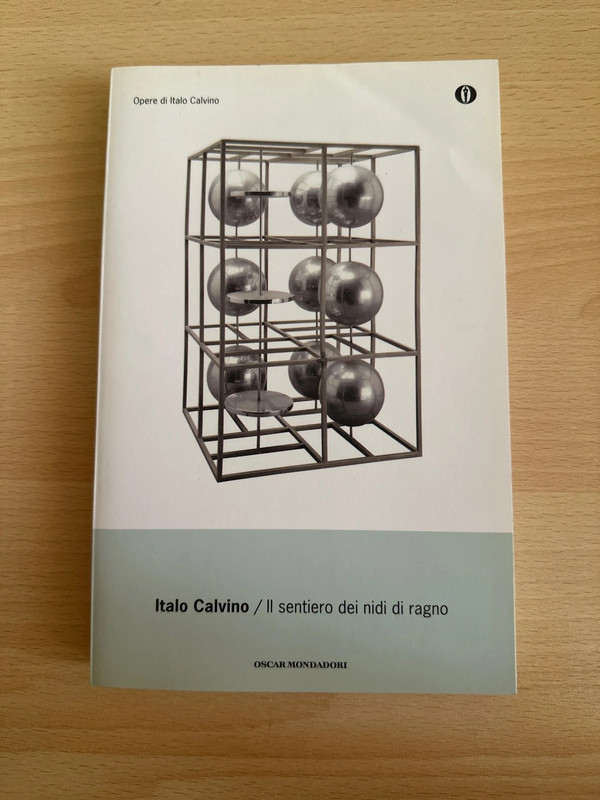Libro “Il sentiero dei nidi di ragno”