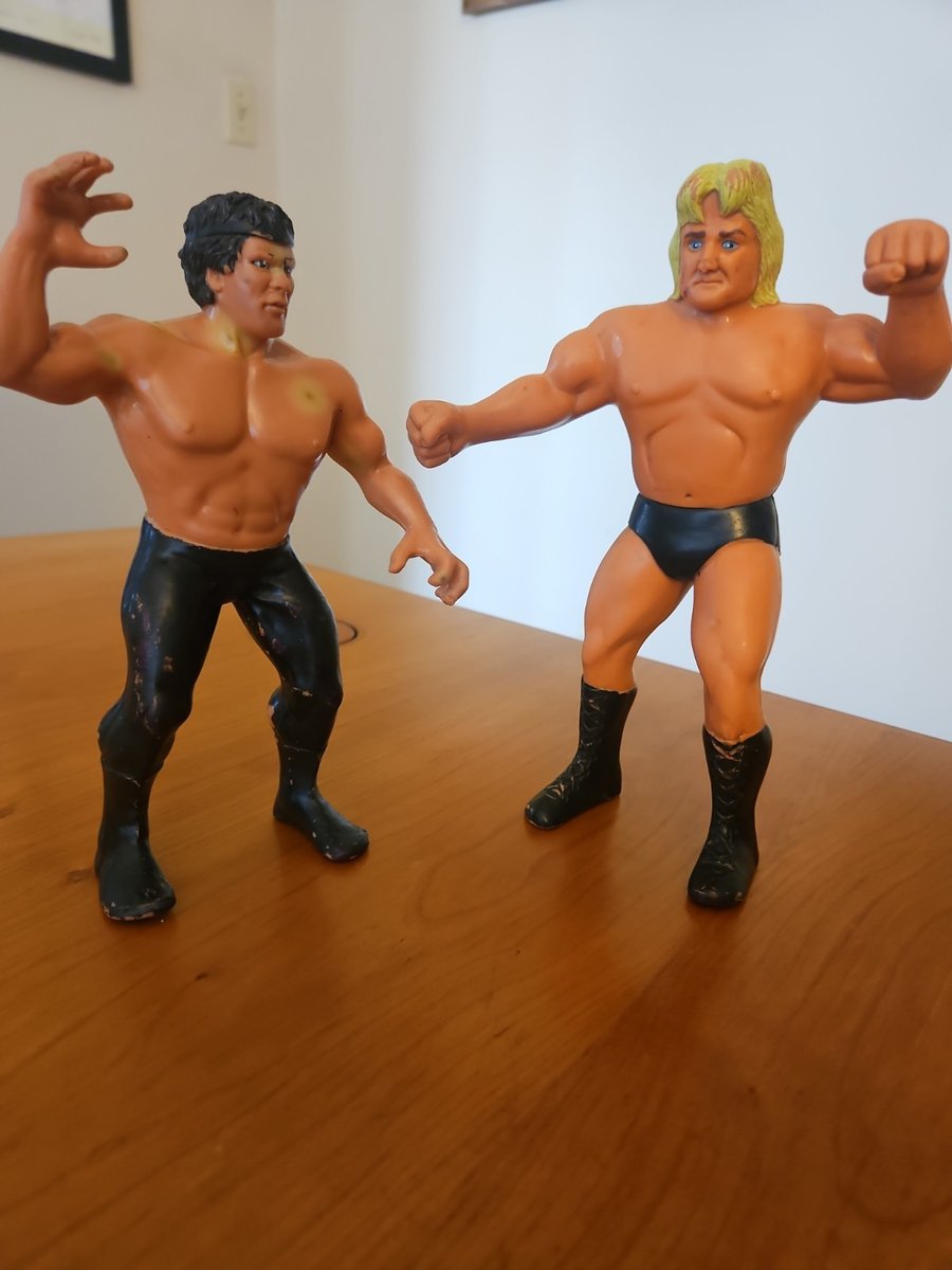Ricky The Dragon Steamboat & Greg the Hammer WWF LJN Wrestling Superstars (2)