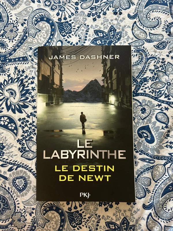 Livre Le Labyrinthe