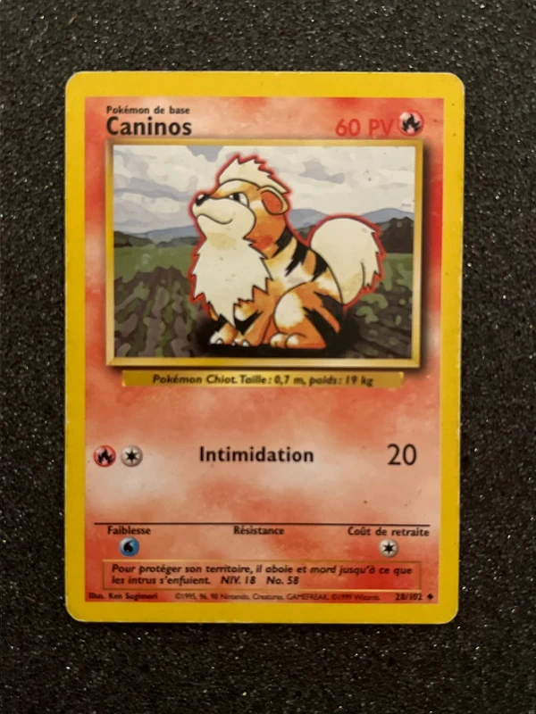 Caninos Set de base 28/102 FR