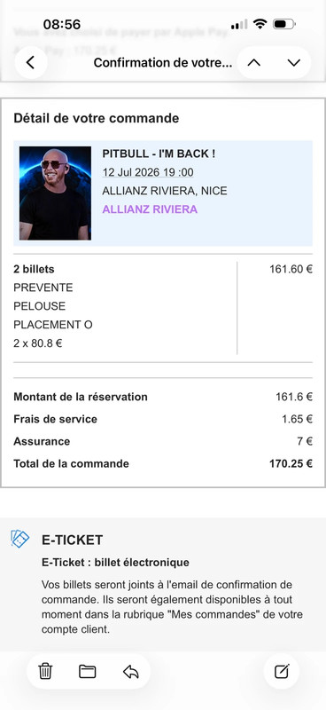 Concert Pitbull