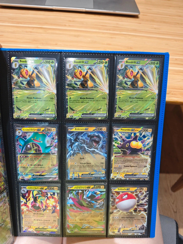 Lote Pokemon ex