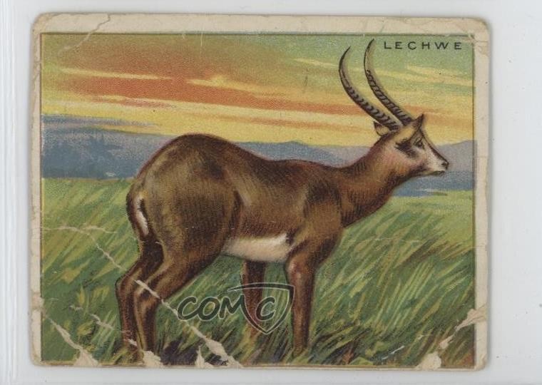 Tabacco serie animali Hassan 1909-11 T29 Lechwe 14rq